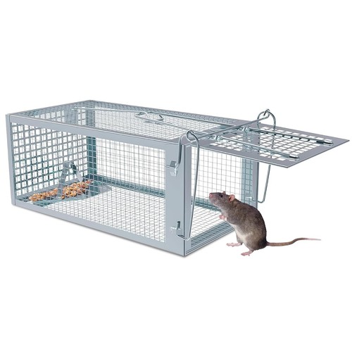 Piège rat sans - rat, xl