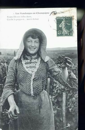 Champagne vendangeuse - champagne,