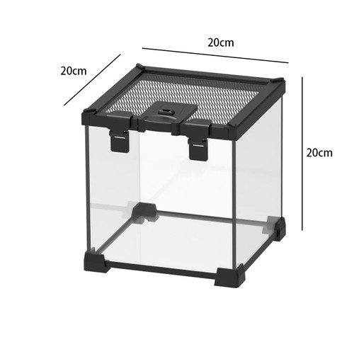 Reptile terrarium transparent - reptile,