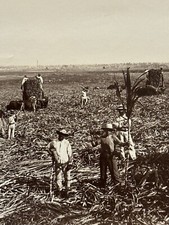 Photographie Ancienne Vers