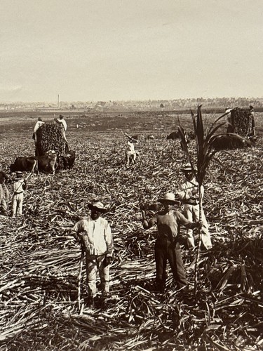Photographie ancienne vers - photographie,