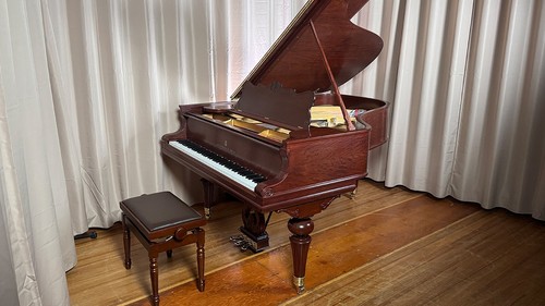 Steinway art case grand - steinway,