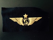 Decoration INSIGNE AILE DE