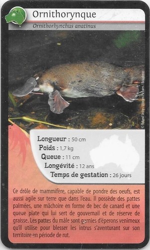 Carte super bioviva - super,