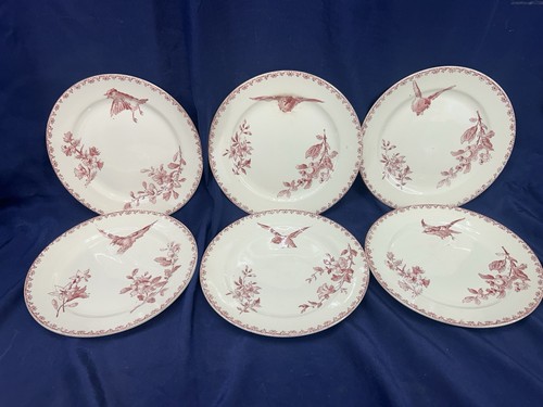 Belles assiettes dessert - belles, à