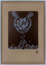 DAMON ROBERTS sérigraphie encre métal sign-num /OP-ART/hayuk/hirst/kapoor/fairey