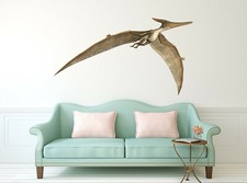 Dragon mignon c80 animal - dragon, 3d
