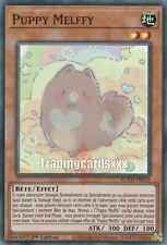 ♦Yu-Gi-Oh!♦ Puppy Melffy : ROTD-FR019 SR