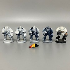 Space hulk terminators - terminators,