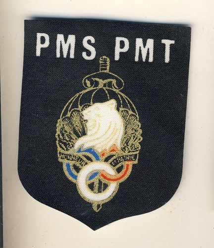 Insigne tissu pmt - insigne, pms