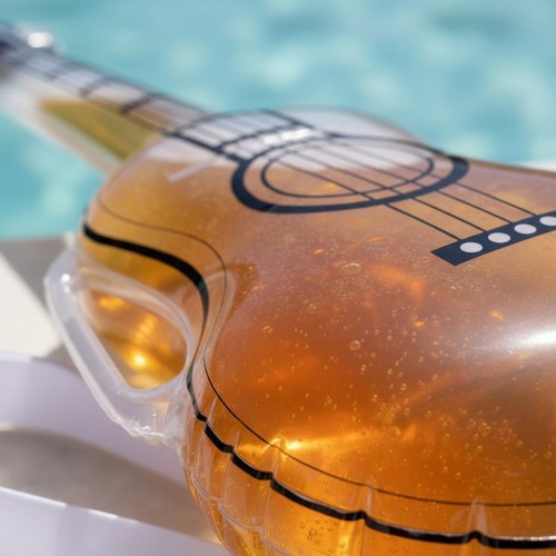 Gourde guitare transparente - gourde,