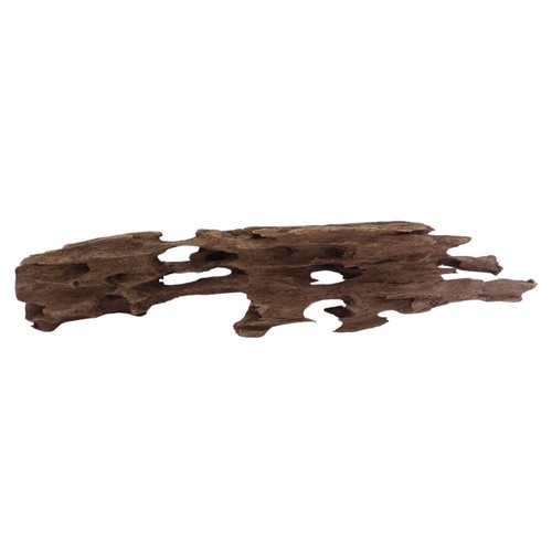 Honey peigne racine - l,