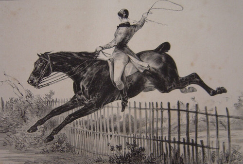 Grande lithographie equitation - lithographie,