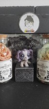 Littlest Petshop Pet Shop LPS Authentic  Dog cocker Spaniel Épagneul 1209 Hasbro