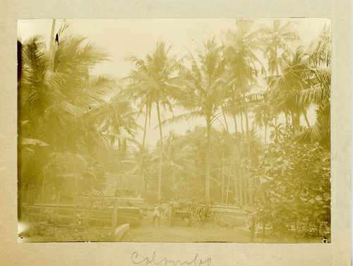 Ceylan sri lanka colombo vue - ceylan,,