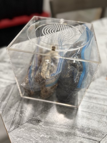 Small terrarium kit - small,