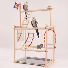 Aire de jeux pour perroquets