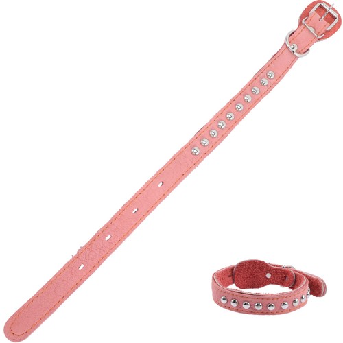 Collerette chien collier - collerette,