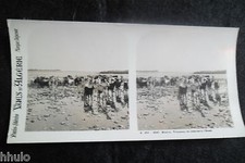 STA645 Algérie Biskra