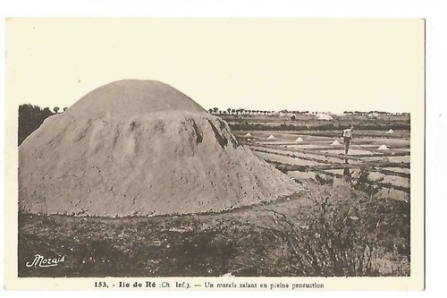 Ile un marais - ile,