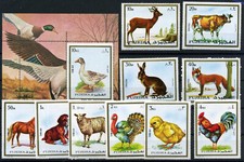 A611/ FUJEIRA / FAUNE ANIMAUX