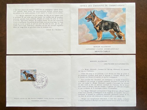 Carte 1er jour - carte,