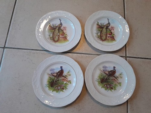 Lot petites assiettes - lot,