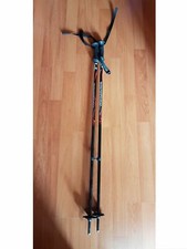 Rossignol Paire De Bâtons De