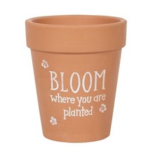 Something Different - Pot de fleurs BLOOM WHERE YOU ARE PLANTED (SD4219)