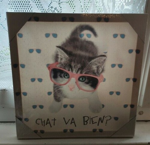 Ckdb cadre chat - #ckdb,