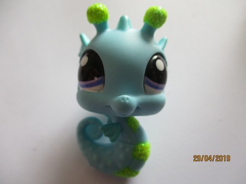 Petshop hippocampe paillete - petshop,