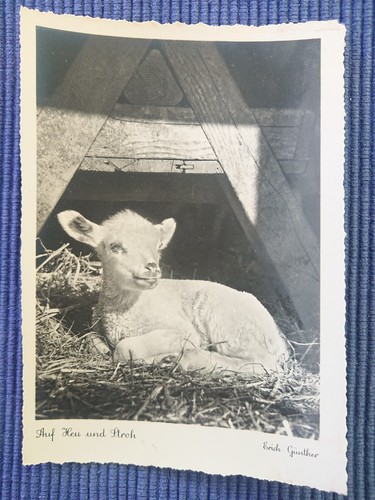 Ancienne carte postale sur - postale,