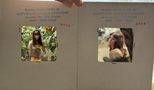 Ektachromes originaux - 2,