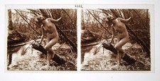 Photographie Stéréoscopique