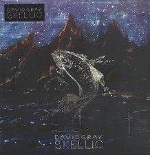 David Gray Skellig Double LP