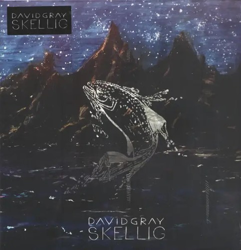 David gray skellig double - double, lp