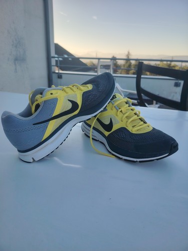 Nike air pegasus - nike,