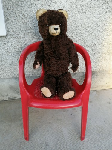 Ancien ours peluche - en,