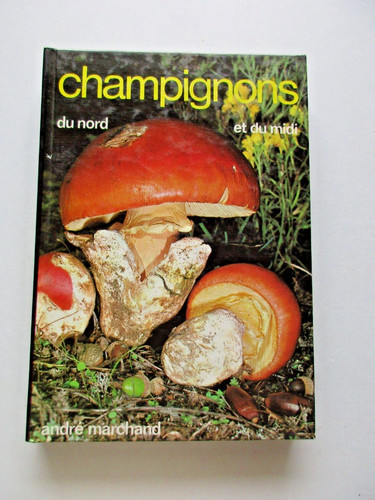 Champignons nord du midi - champignons, et