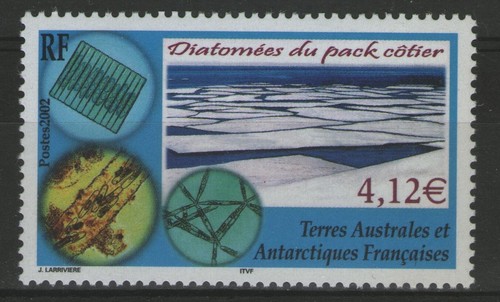Taaf 338 flore - n°338,