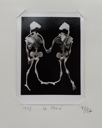 Marc mené dessin et - dessin,