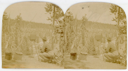 Stereo héliographe vintage - héliographe,