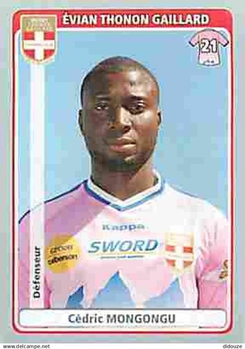 Stickers panini france - stickers,
