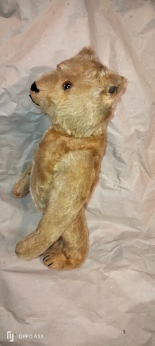 Rare ours ancien steiff - ancien,
