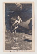 Photo ancienne intemporelle