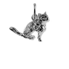 Charm Chat en Argent 925/1000