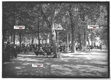Plaque verre photo ancienne positif noir et blanc 13x18 cm Luchon parc kiosque