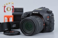 Sony α65 SLT-A65V + DT