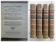 DICTIONNAIRE RAISONNE ET