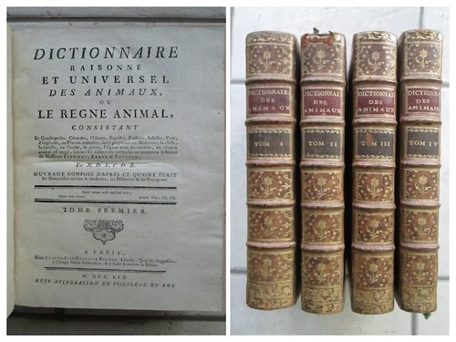 Dictionnaire raisonne - raisonne, et